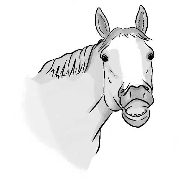 Equine Digital Icons